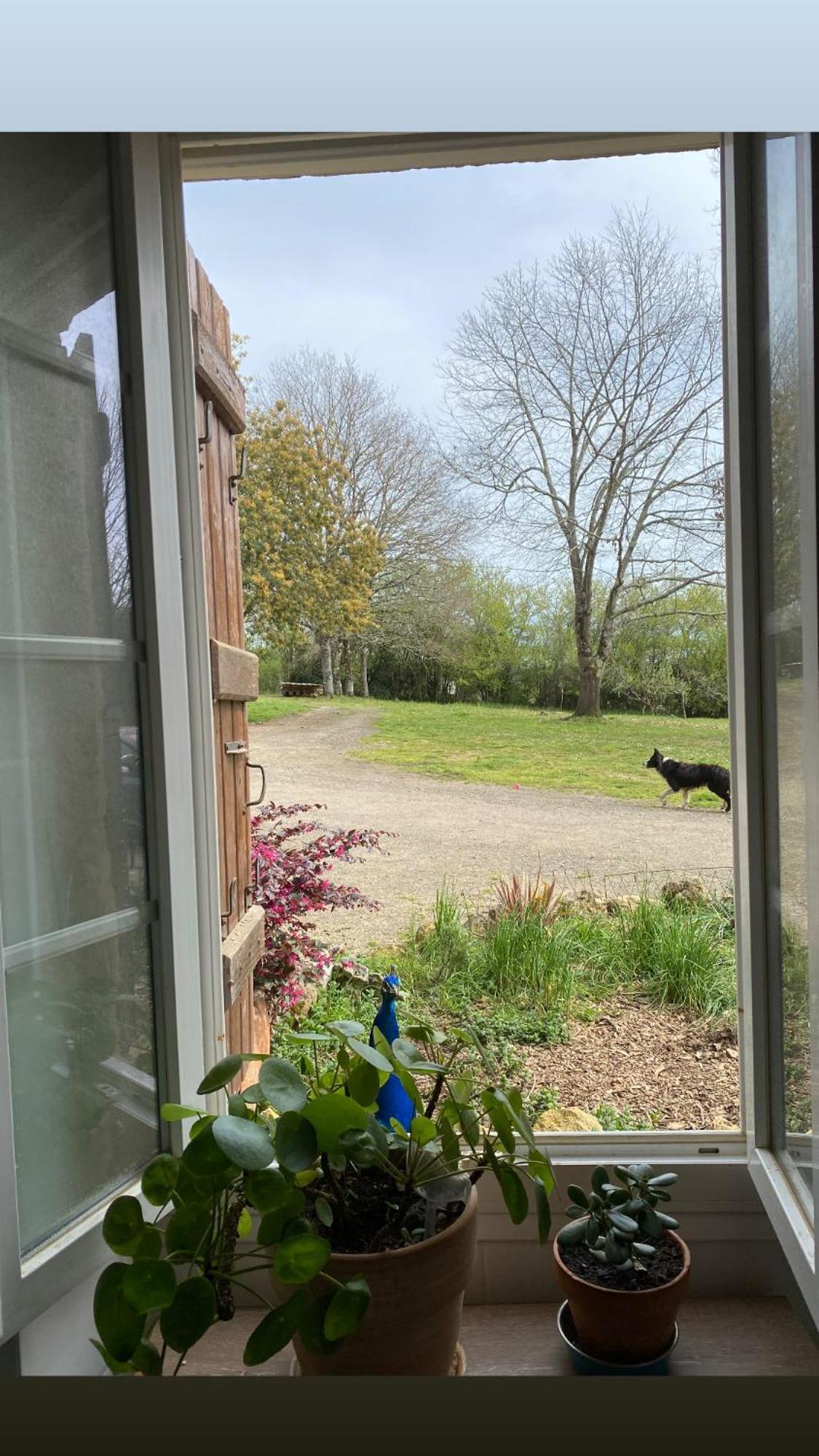 La Bastide Bed & Breakfast Armous-et-Cau Eksteriør bilde
